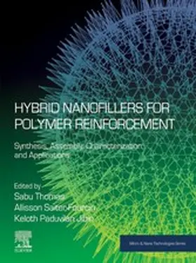 Thomas / Saiter-Fourcin / Jibin | Hybrid Nanofillers for Polymer Reinforcement | E-Book | www.sack.de