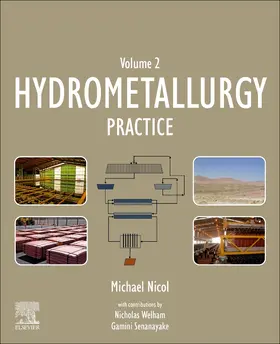 Nicol |  Hydrometallurgy | Buch |  Sack Fachmedien