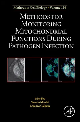 Methods for Monitoring Mitochondrial Functions During Pathogen Infection | Buch | 978-0-323-99219-0 | sack.de