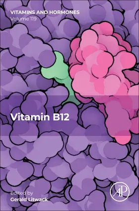 Litwack | Vitamin B12 | Buch | 978-0-323-99223-7 | www.sack.de