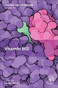 Litwack |  Vitamin B12 | Buch |  Sack Fachmedien