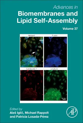 Iglic? / Rappolt | Advances in Biomembranes and Lipid Self-Assembly | Buch | 978-0-323-99244-2 | www.sack.de