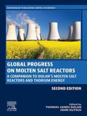 Kutsch |  Global Progress on Molten Salt Reactors | eBook | Sack Fachmedien