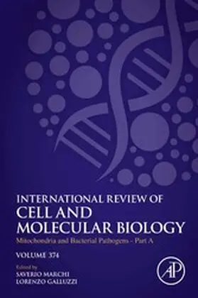 Galluzzi / Marchi | Mitochondria and Bacterial Pathogens - Part A | E-Book | sack.de