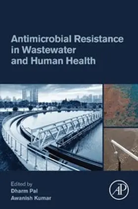 Pal / Kumar |  Antimicrobial Resistance in Wastewater and Human Health | eBook | Sack Fachmedien