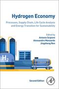 Manzardo / Scipioni / Ren |  Hydrogen Economy | Buch |  Sack Fachmedien
