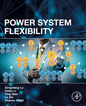 Lu / Li / Qiao |  Power System Flexibility | Buch |  Sack Fachmedien