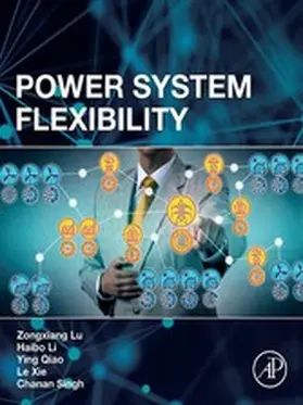 Lu / Li / Qiao |  Power System Flexibility | eBook | Sack Fachmedien