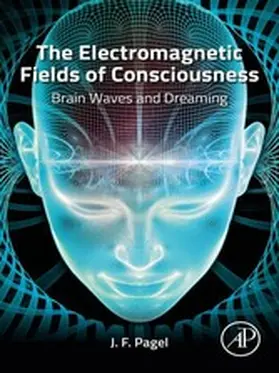 Pagel |  The Electromagnetic Fields of Consciousness | eBook | Sack Fachmedien