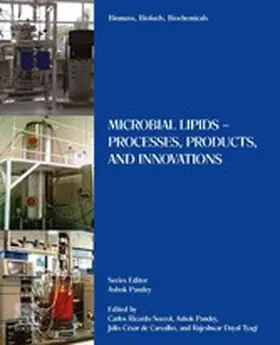 Soccol / Pandey / Carvalho | Biomass, Biofuels, Biochemicals | E-Book | sack.de
