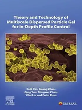 Dai / Zhao / You | Theory and Technology of Multiscale Dispersed Particle Gel for In-Depth Profile Control | E-Book | sack.de