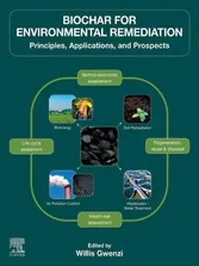 Gwenzi |  Biochar for Environmental Remediation | eBook | Sack Fachmedien