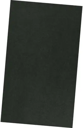 Emig |  W.H. Auden | Buch |  Sack Fachmedien