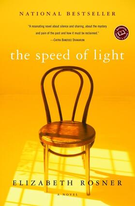 Rosner |  The Speed of Light | Buch |  Sack Fachmedien