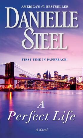 Steel |  A Perfect Life | Buch |  Sack Fachmedien