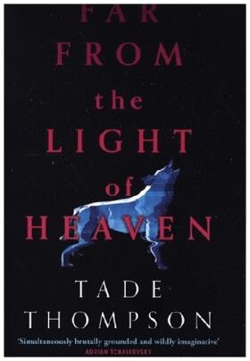 Thompson |  Far from the Light of Heaven | Buch |  Sack Fachmedien
