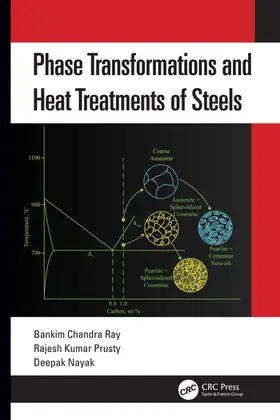 Ray / Prusty / Nayak |  Phase Transformations and Heat Treatments of Steels | Buch |  Sack Fachmedien