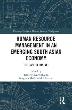 Darwish / Abdul Fattaah |  Human Resource Management in an Emerging South Asian Economy | Buch |  Sack Fachmedien