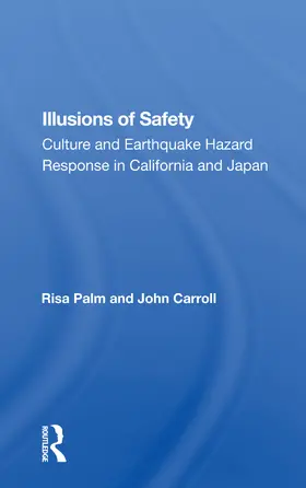 Palm | Illusions of Safety | Buch | 978-0-367-15972-6 | www.sack.de