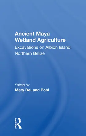 Pohl |  Ancient Maya Wetland Agriculture | Buch |  Sack Fachmedien