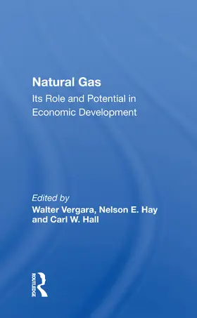 Vergara |  Natural Gas | Buch |  Sack Fachmedien