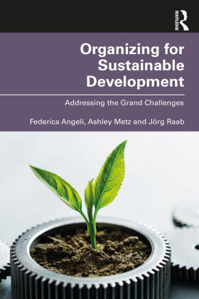 Angeli / Metz / Raab |  Organizing for Sustainable Development | Buch |  Sack Fachmedien