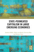 Nolke / Nölke / ten Brink |  State-permeated Capitalism in Large Emerging Economies | Buch |  Sack Fachmedien