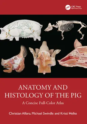 Alfaro / Helke / Swindle |  Anatomy and Histology of the Pig | Buch |  Sack Fachmedien