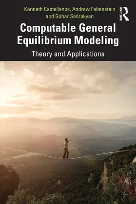 Castellanos / Feltenstein / Sedrakyan |  Computable General Equilibrium Modeling | Buch |  Sack Fachmedien