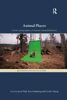 Bull / Holmberg / Åsberg | Animal Places | Buch | 978-0-367-33277-8 | sack.de