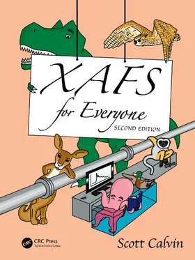 Calvin |  XAFS for Everyone | Buch |  Sack Fachmedien