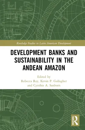 Ray / Gallagher / Sanborn |  Development Banks and Sustainability in the Andean Amazon | Buch |  Sack Fachmedien