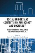 Hughes / Broidy |  Social Bridges and Contexts in Criminology and Sociology | Buch |  Sack Fachmedien