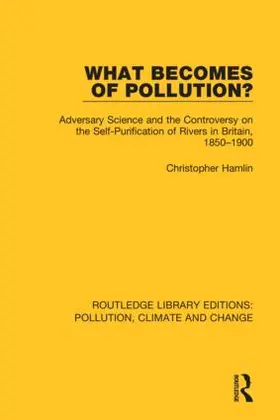 Hamlin |  What Becomes of Pollution? | Buch |  Sack Fachmedien