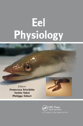 Trischitta / Takei / Sébert |  Eel Physiology | Buch |  Sack Fachmedien