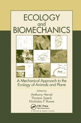 Herrel / Speck / Rowe |  Ecology and Biomechanics | Buch |  Sack Fachmedien