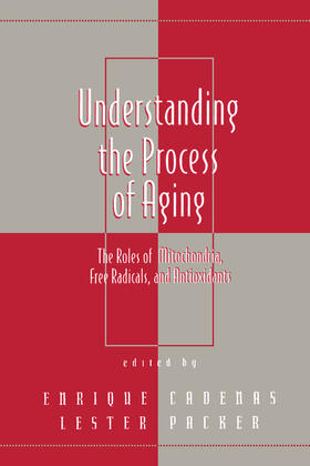 Packer |  Understanding the Process of Aging | Buch |  Sack Fachmedien