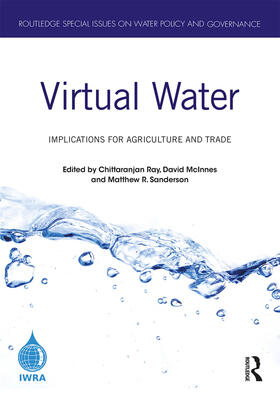 Ray / McInnes / Sanderson | Virtual Water | Buch | 978-0-367-40807-7 | sack.de