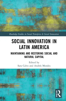 Calvo / Morales |  Social Innovation in Latin America | Buch |  Sack Fachmedien
