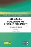 Lehmann |  Sustainable Development and Resource Productivity | Buch |  Sack Fachmedien
