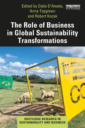 D’Amato / Toppinen / Kozak |  The Role of Business in Global Sustainability Transformations | Buch |  Sack Fachmedien