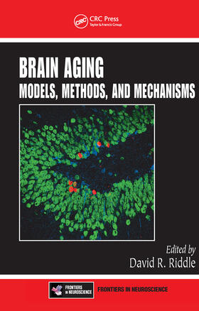 Riddle |  Brain Aging | Buch |  Sack Fachmedien