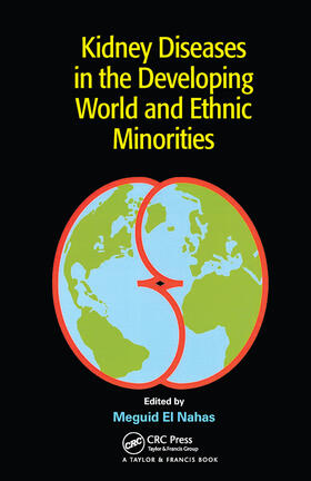 El Nahas / Barsoum / Dirks | Kidney Diseases in the Developing World and Ethnic Minorities | Buch | 978-0-367-45406-7 | sack.de