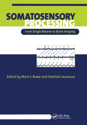 Rowe / Iwamura | Somatosensory Processing | Buch | 978-0-367-45539-2 | www.sack.de
