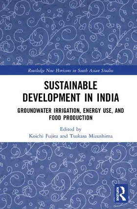 Fujita / Mizushima | Sustainable Development in India | Buch | 978-0-367-46097-6 | sack.de