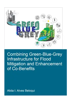 Alves Beloqui |  Combining Green-Blue-Grey Infrastructure for Flood Mitigation and Enhancement of Co-Benfits | Buch |  Sack Fachmedien