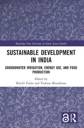 Fujita / Mizushima |  Sustainable Development in India | Buch |  Sack Fachmedien