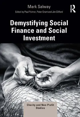 Salway / Palmer / Grant |  Demystifying Social Finance and Social Investment | Buch |  Sack Fachmedien