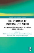 Levels / Brzinsky-Fay / Holmes |  The Dynamics of Marginalized Youth | Buch |  Sack Fachmedien