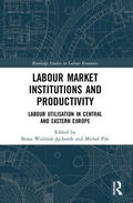 Wozniak-Jechorek / Pilc |  Labour Market Institutions and Productivity | Buch |  Sack Fachmedien